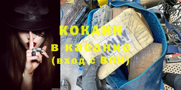 крисы Козельск