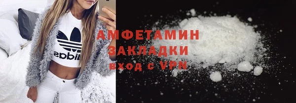 крисы Козельск