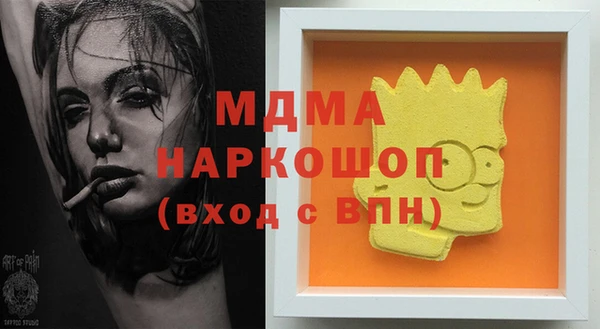 крисы Козельск