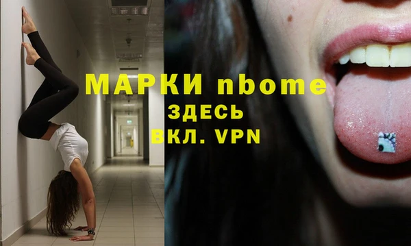 шишки Корсаков