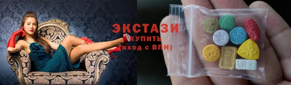 крисы Козельск