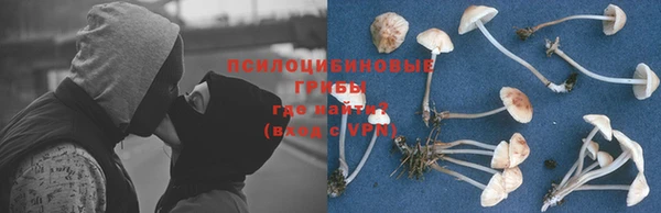 винт Козловка