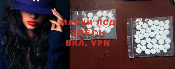 шишки Корсаков