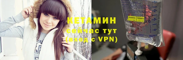 шишки Корсаков