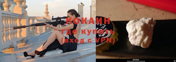 крисы Козельск