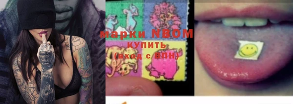 крисы Козельск