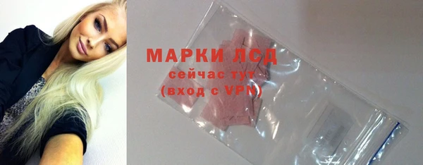 шишки Корсаков