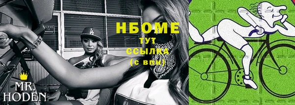 шишки Корсаков