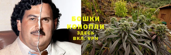 spice Костерёво