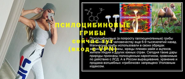шишки Корсаков